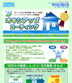 堀場工業